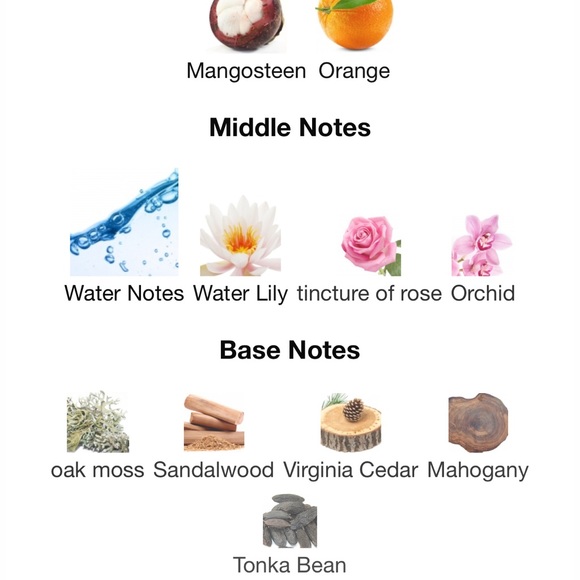 JLO BLUE GLOW PERFUME - Picture 2 of 5